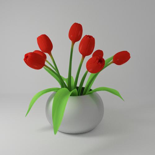 Tulip   preview image